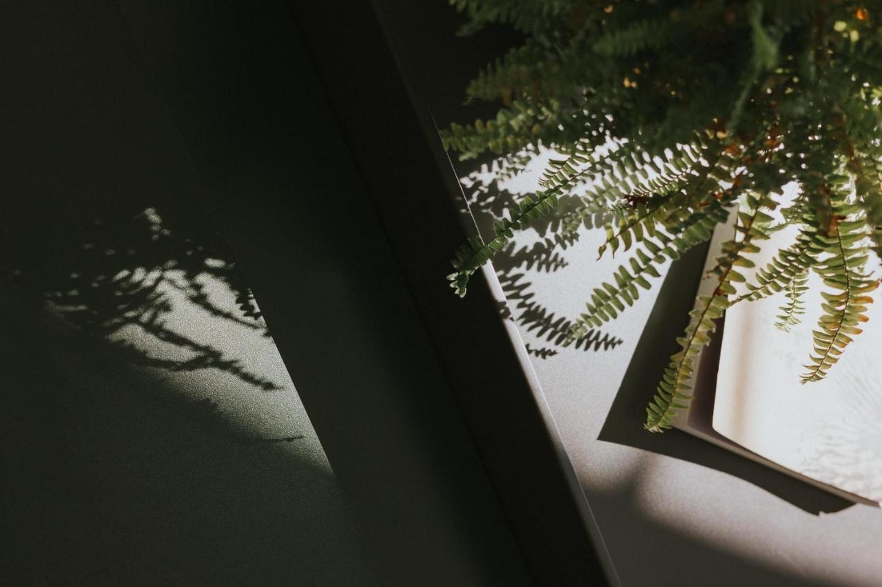 Sunrise Yunqi Teahouse Apartment Alishan Exterior photo
